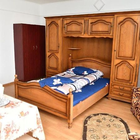 Caransebeş Casa Simescu I 호스텔 외부 사진