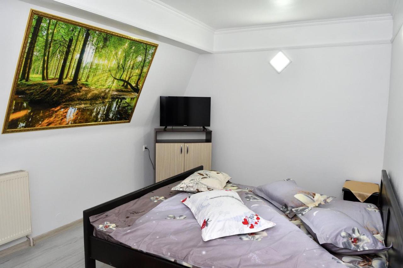 Caransebeş Casa Simescu I 호스텔 외부 사진