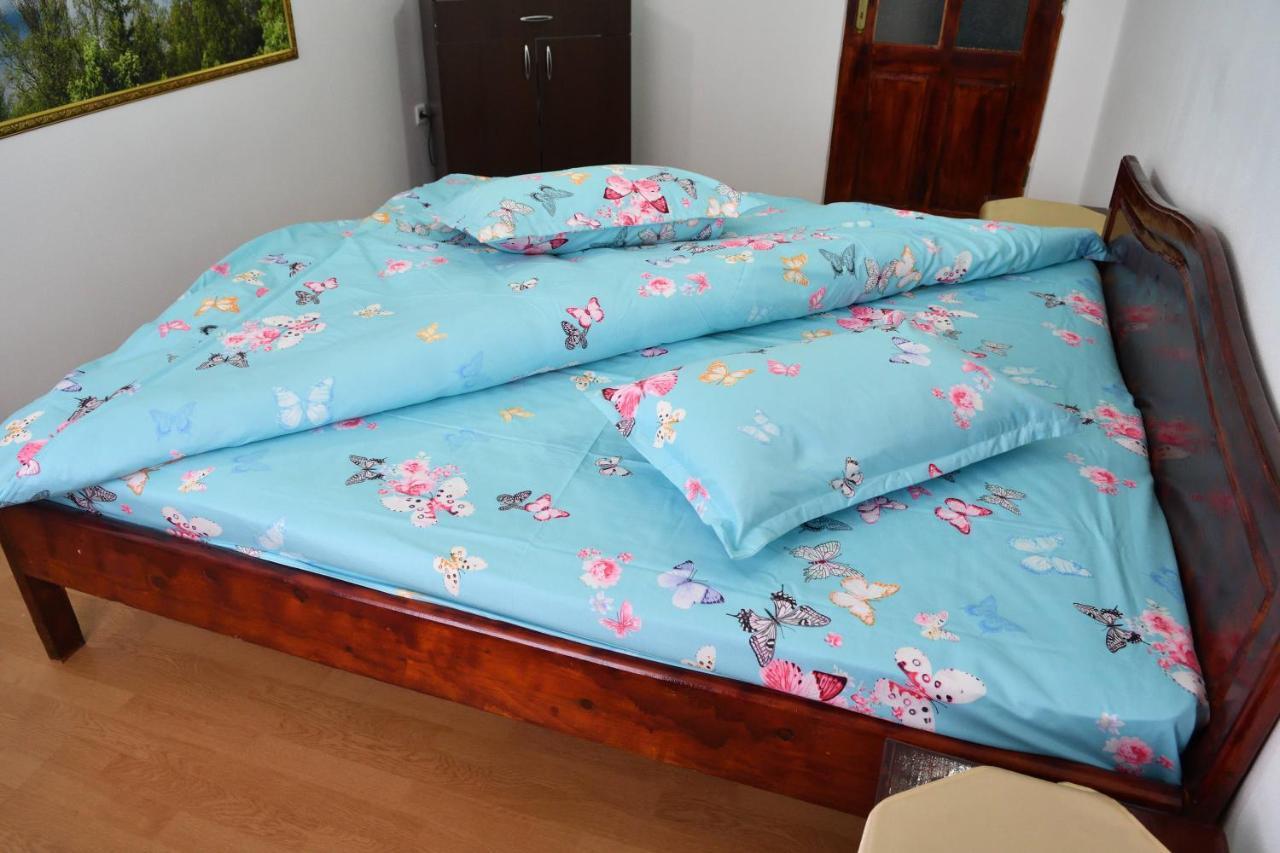 Caransebeş Casa Simescu I 호스텔 외부 사진