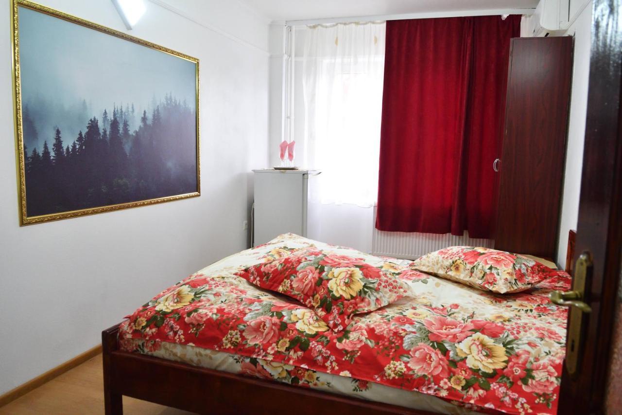 Caransebeş Casa Simescu I 호스텔 외부 사진